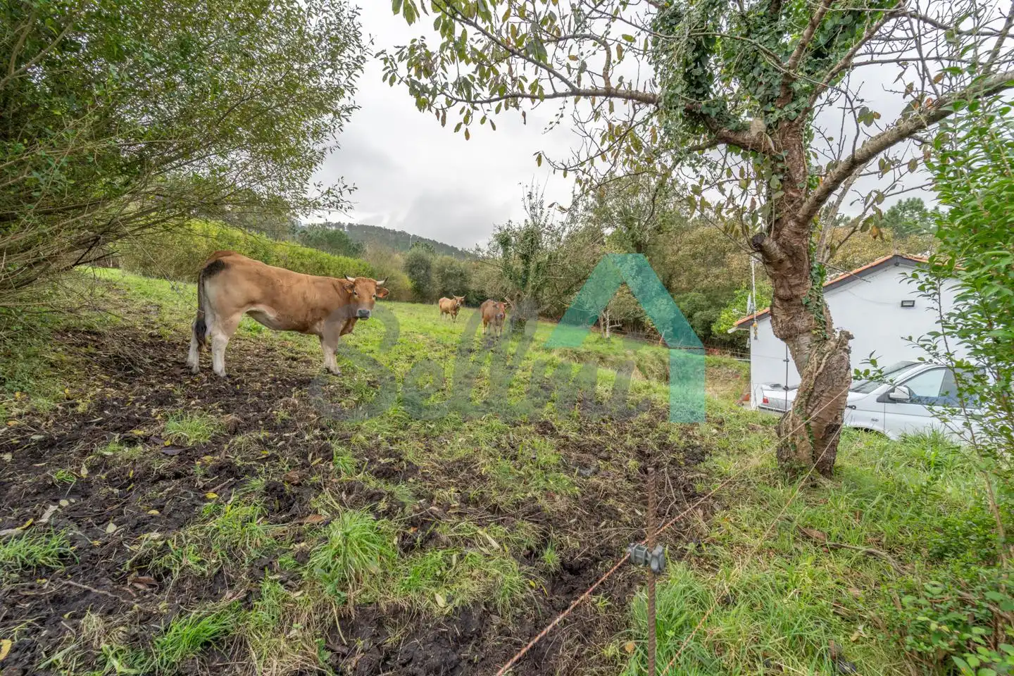 Casa o xalet en venda en Cudillero amb Jardí privat i Traster