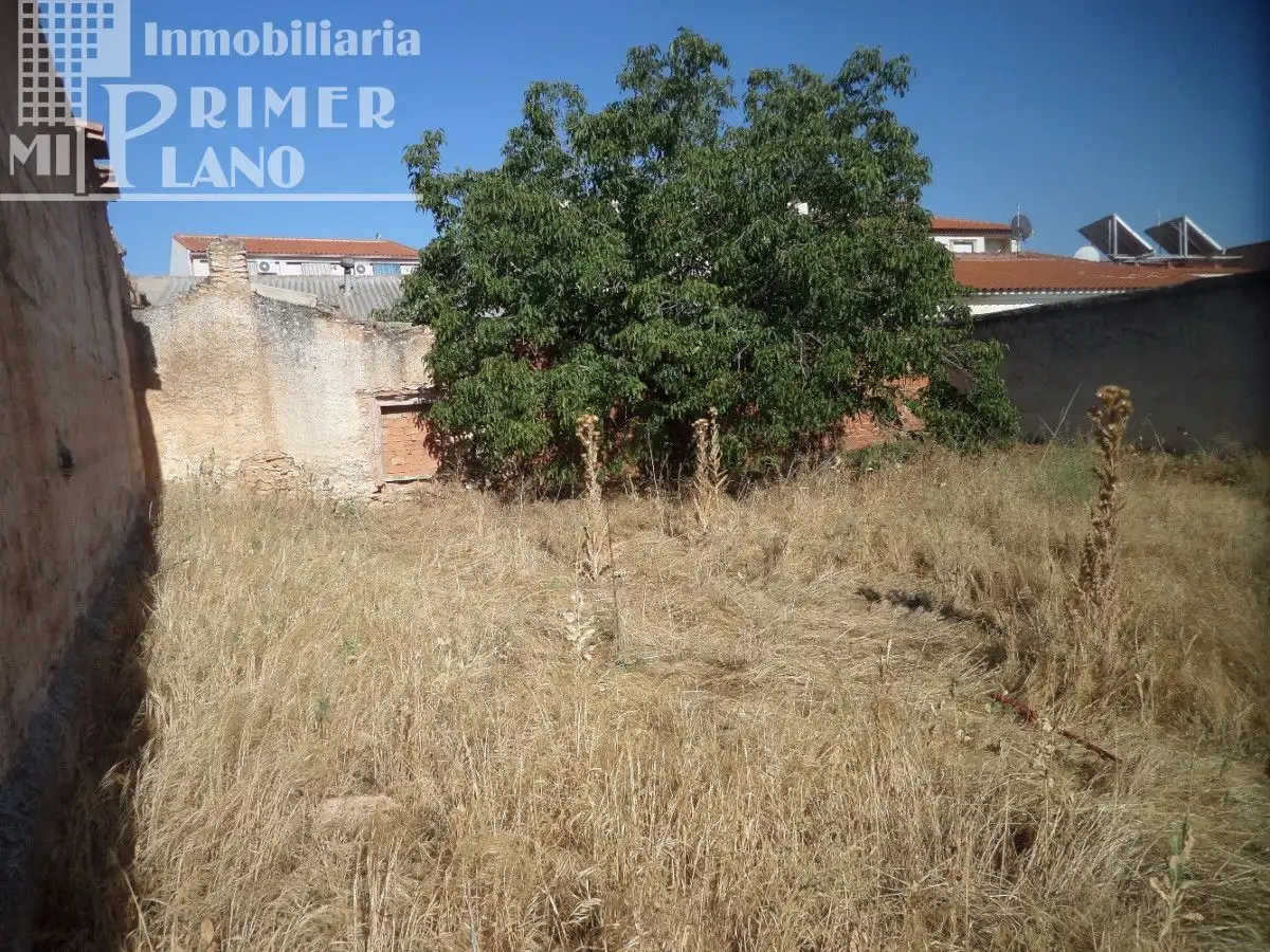 Terrenys i solars en venda a Argamasilla de Alba