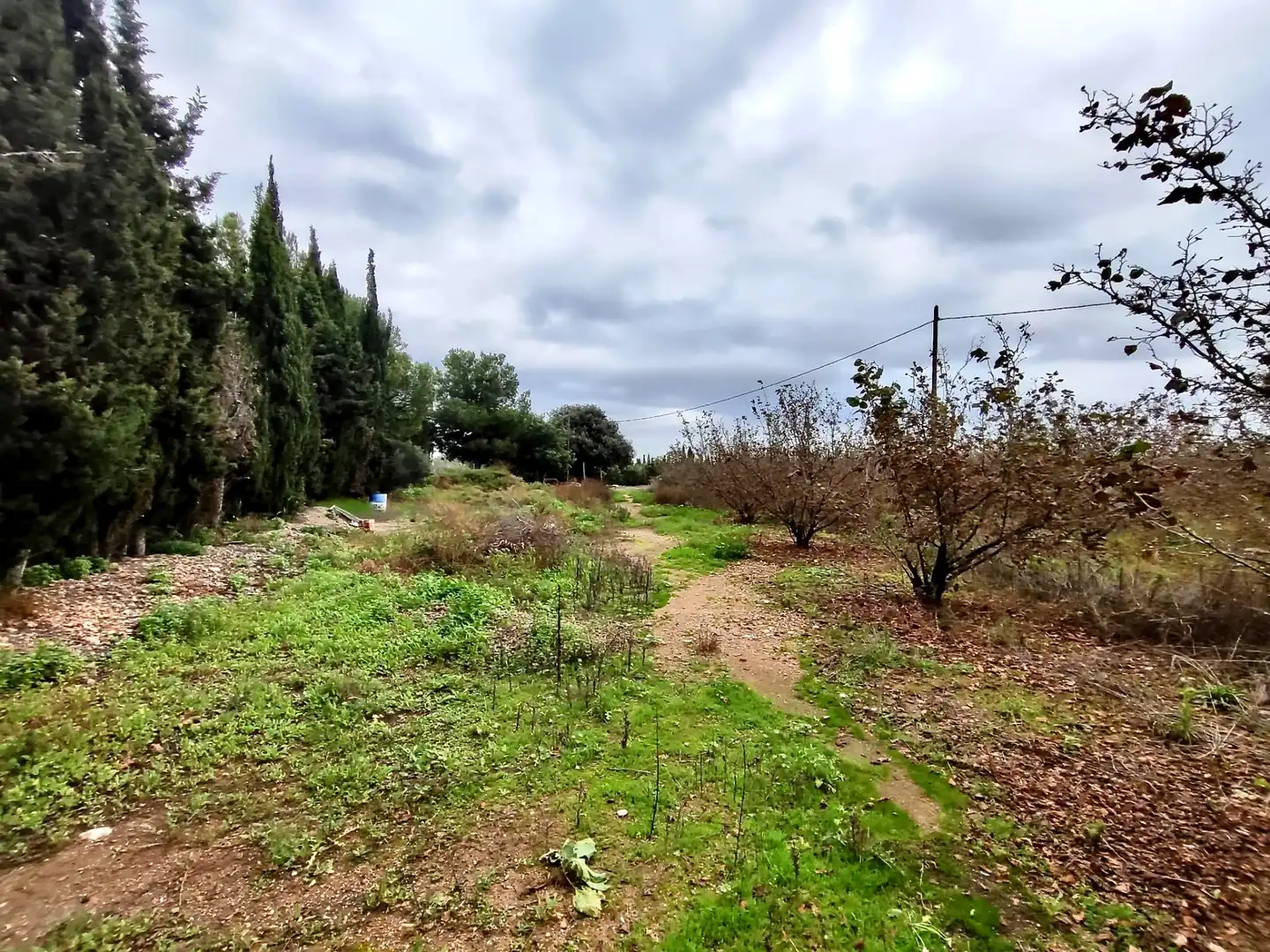 Land for sale in Vilallonga del Camp