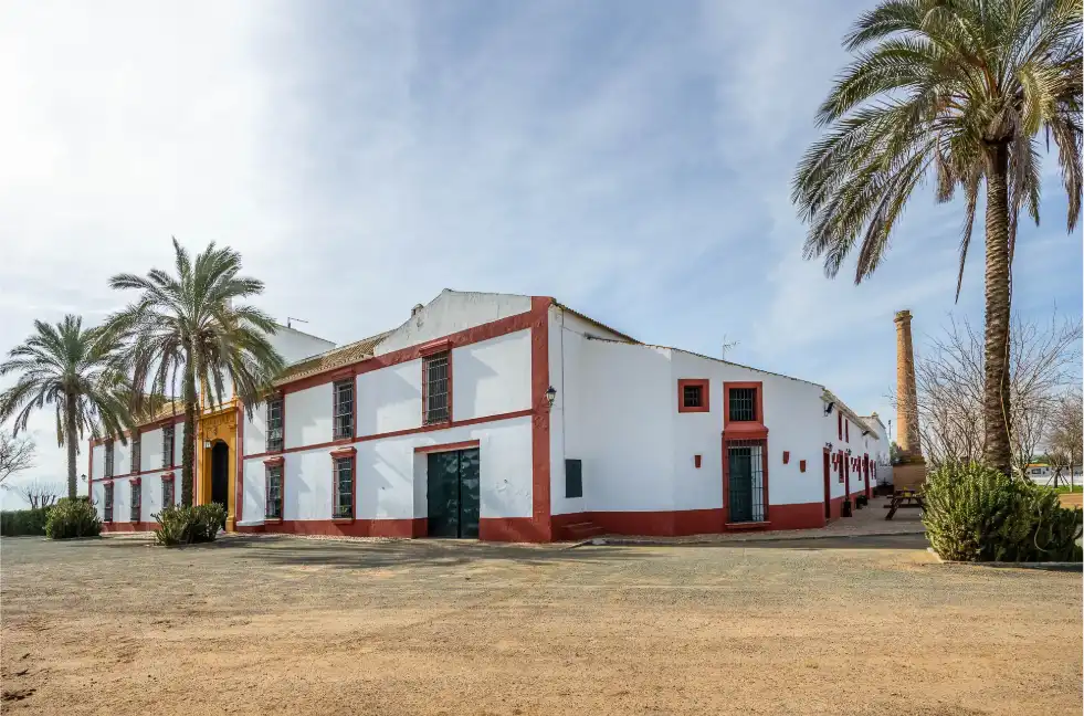 Casa rústica amb terrassa en venda a Carretera Guadajoz, imagen 3