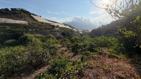 Foto 5 de Terreno en venta en Masanet, Casco urbano, Polop