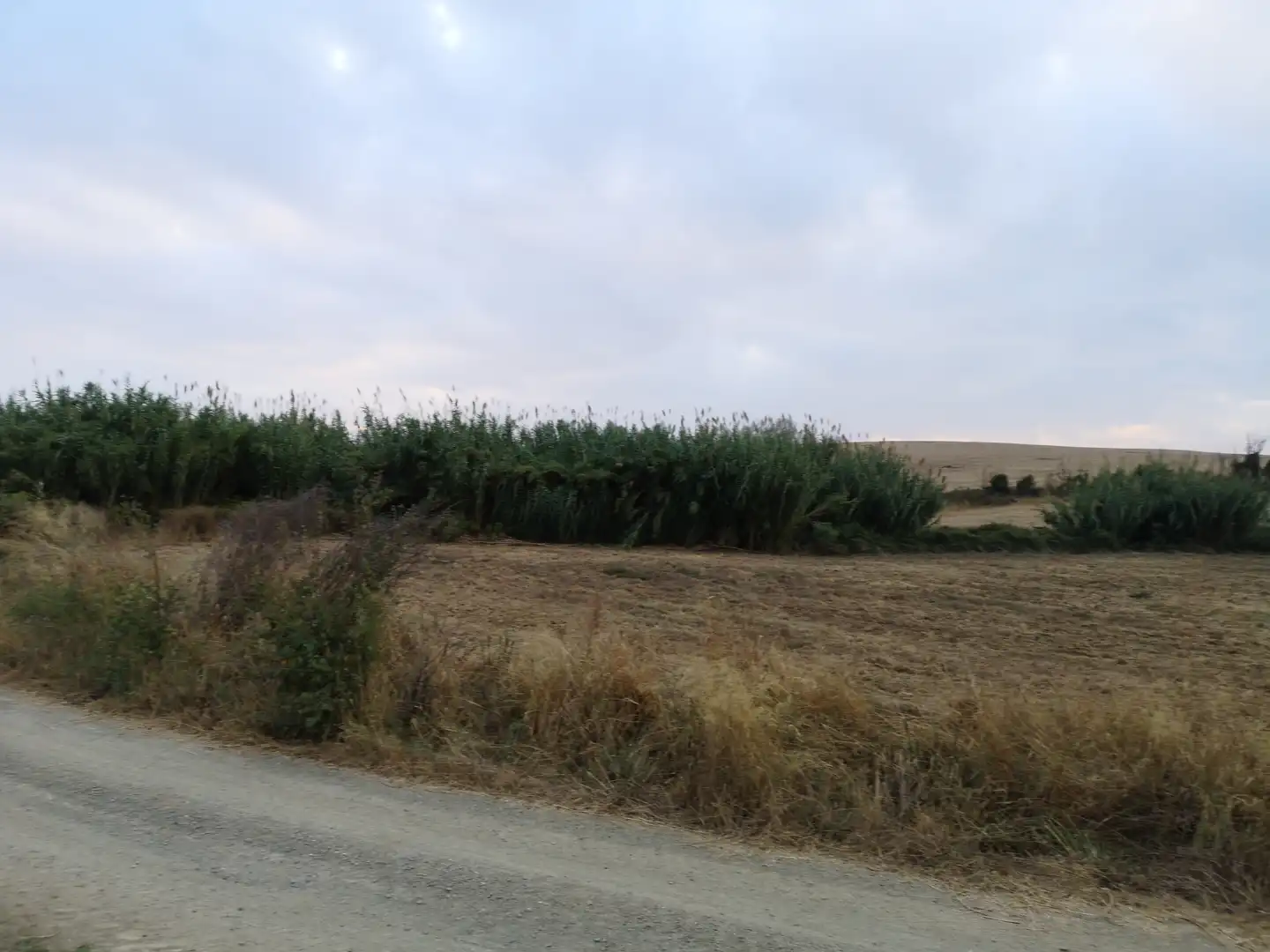 Terreni e lotti in vendita a Paraje Arrogil o Pedregal, imagen 12
