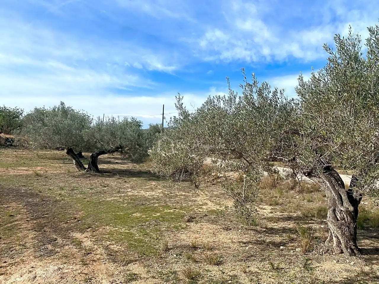 Terreno rustico in vendita a Planas, imagen 11