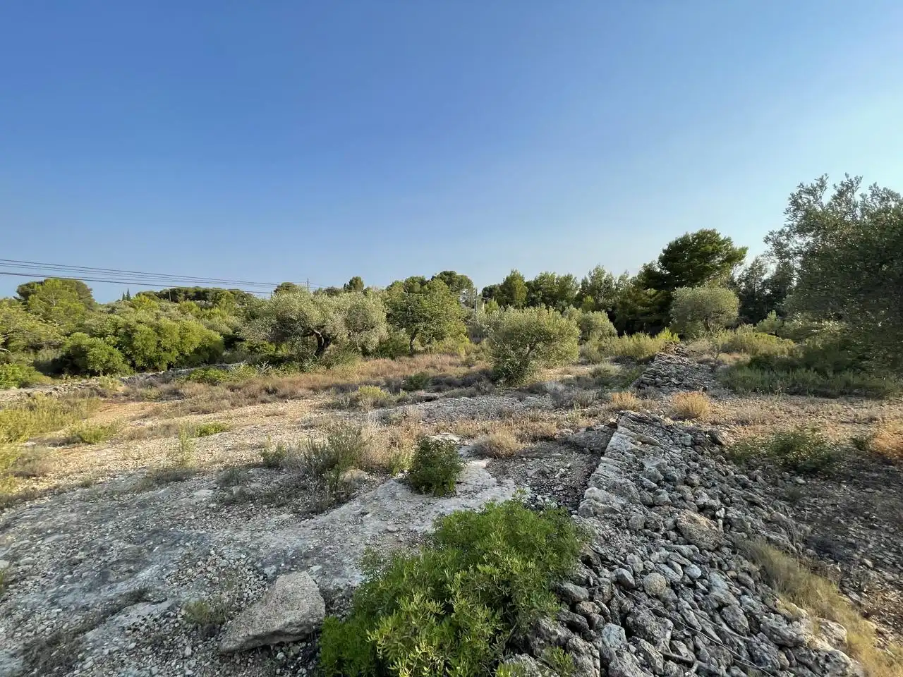 Terreno rustico in vendita a Partida Estany Tort, imagen 2