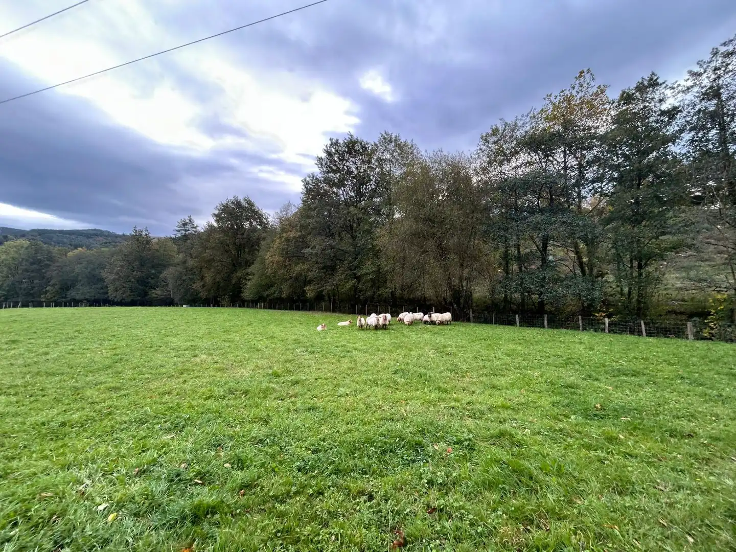 Grundstücke zum Verkauf in Trucios-Turtzioz