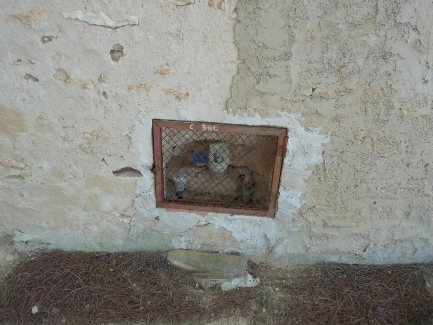 Außenansicht von Country house zum Verkauf in Albaida mit Privatgarten und Abstellraum