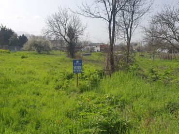 Terreni e lotti in vendita a Camponaraya