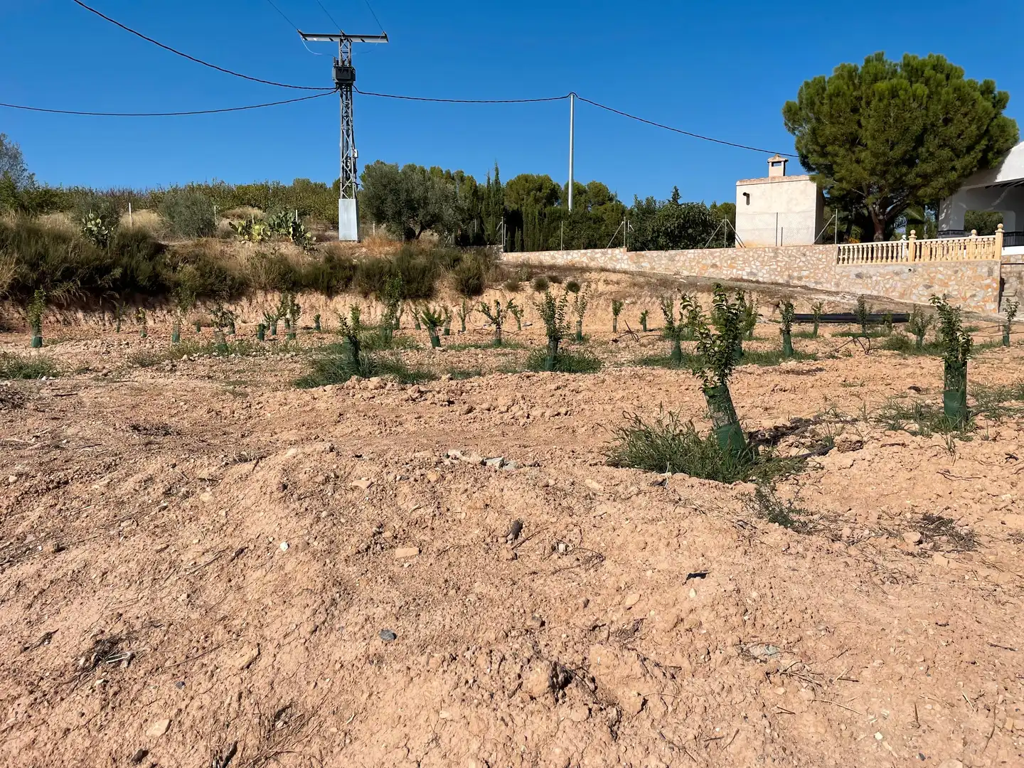 Terreno rustico in vendita a Cehegín, imagen 12