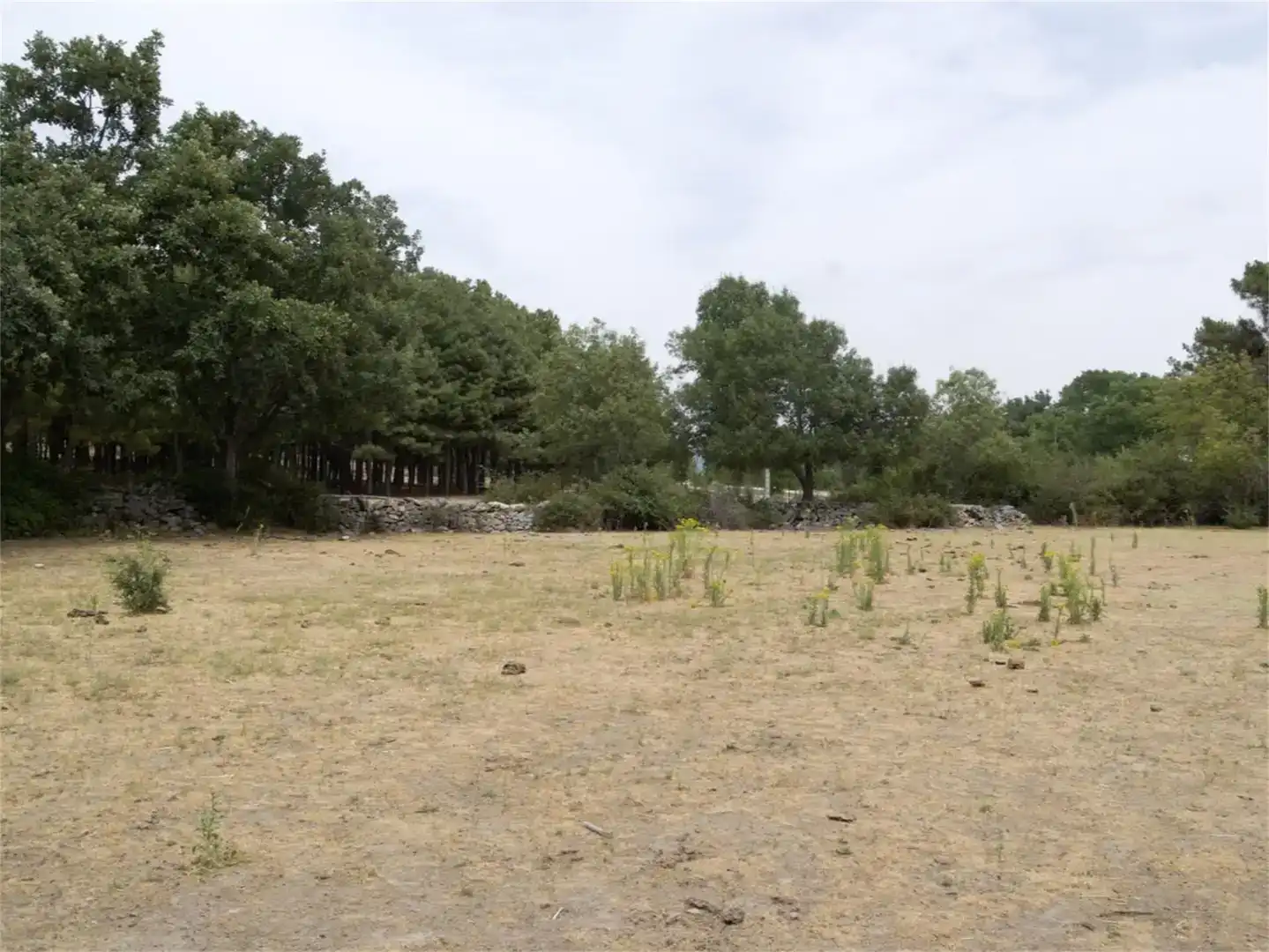 Land for sale in Iglesia - Estación