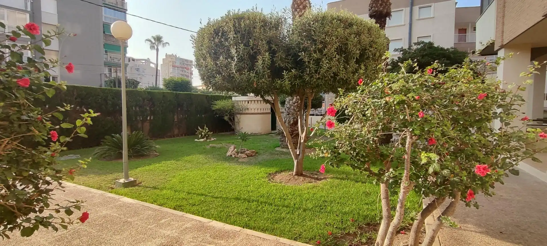 Wohnung mit Pool zur Miete in Playa Muchavista, imagen 6