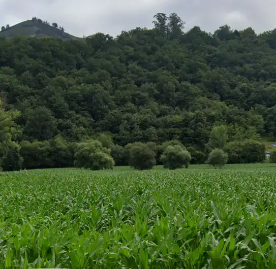 Terreni e lotti in vendita a Vega de Cotranquil