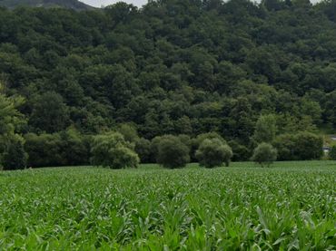 Terrenys i solars en venda a Vega de Cotranquil