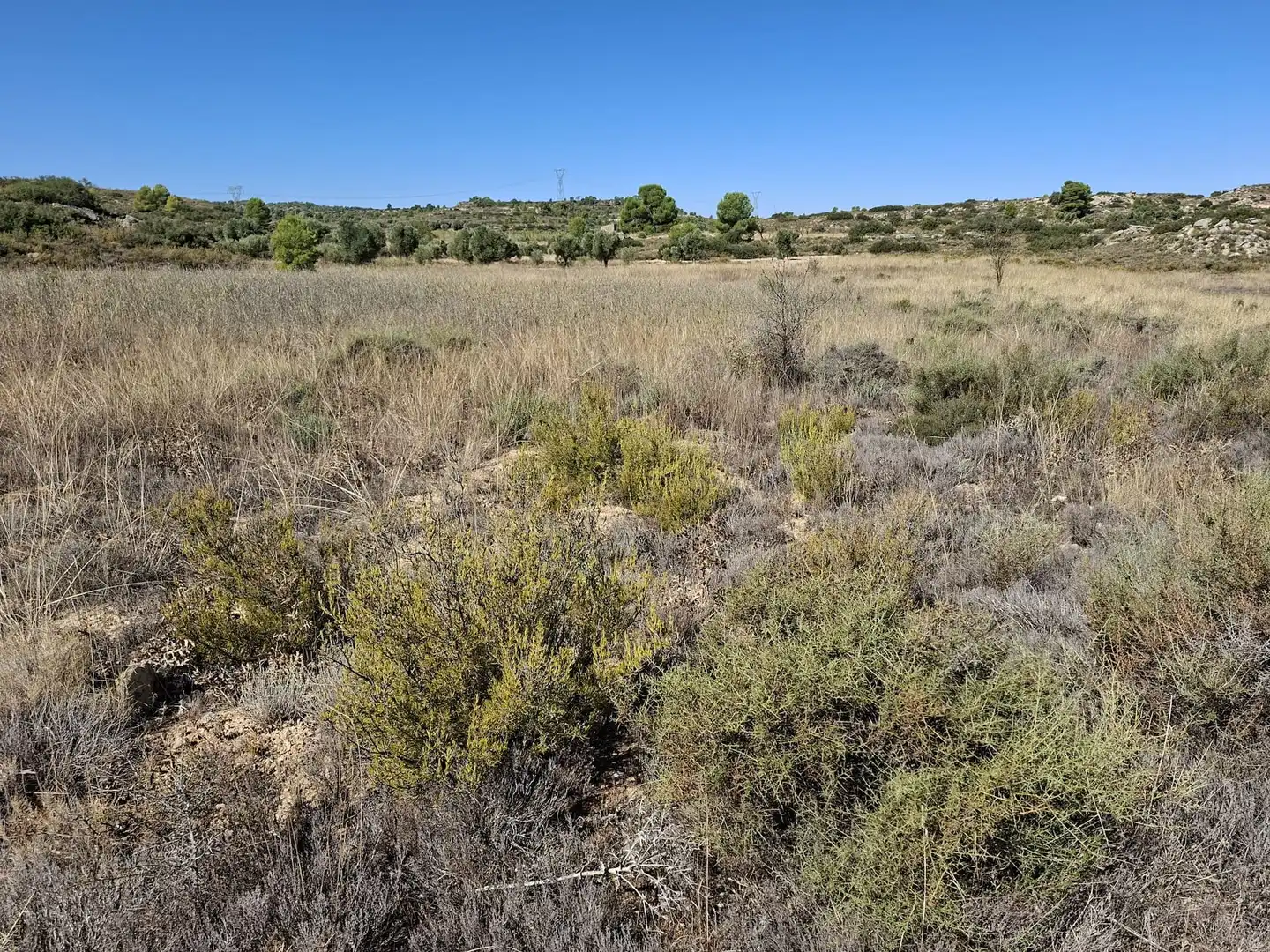 Terreno rustico in vendita a N/A, imagen 5