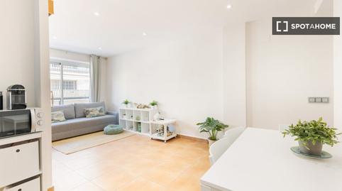 Photo 3 of Apartment to share in La Floresta, Barcelona