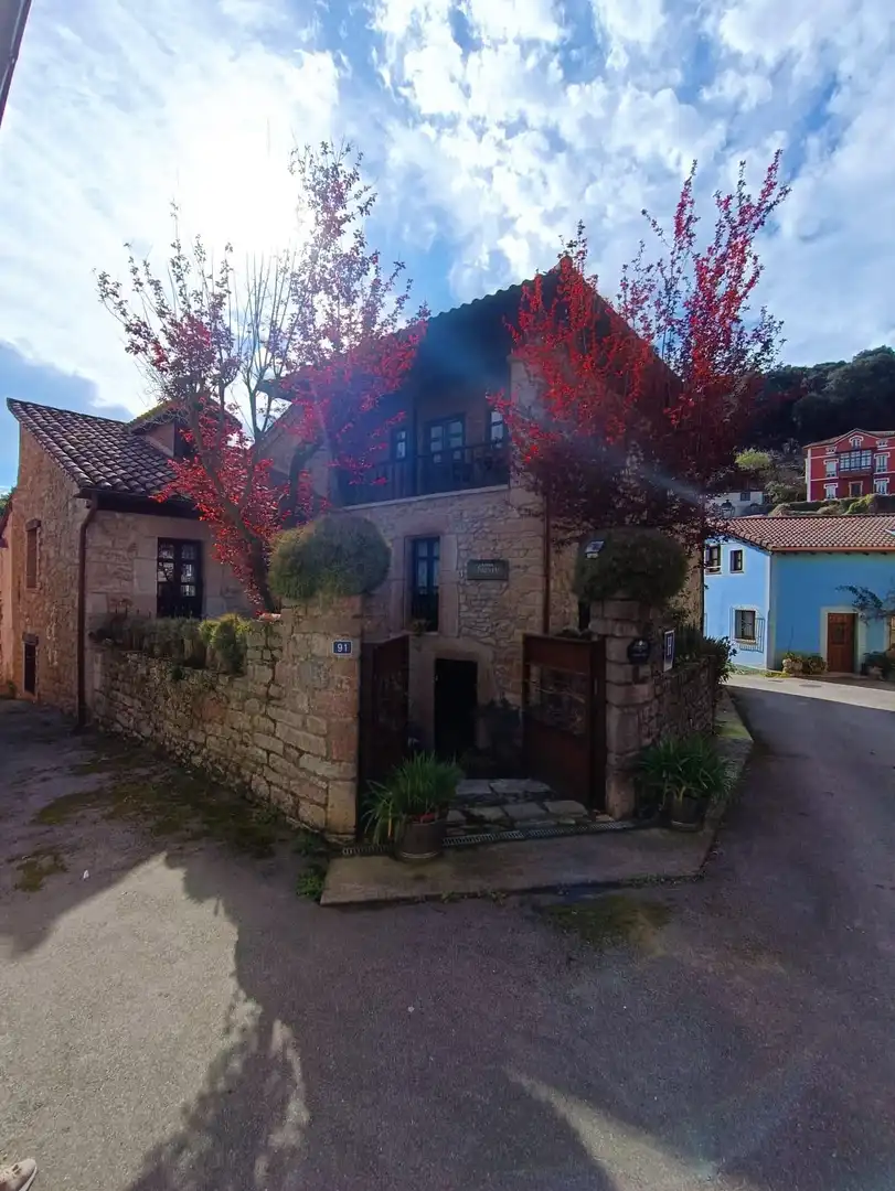 Exterior view of Country homes for sale in Peñamellera Baja  with Heating, Private garden and Terrace