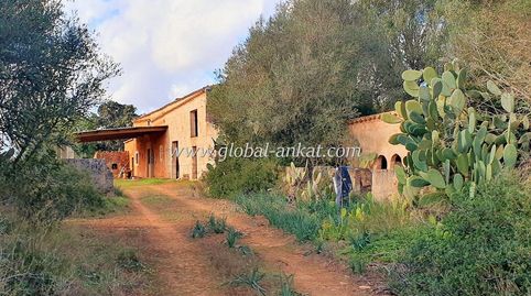 Finca Ca´n Matas (Ref. F2038)
