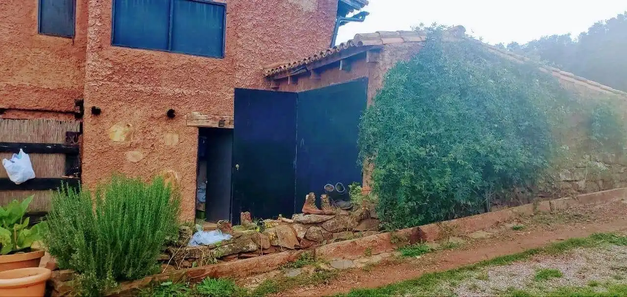 Vista exterior de Finca rústica en venda en San Nicolás del Puerto
