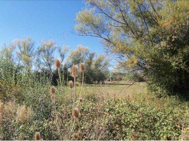 Terreno residencial en venta en N/A
