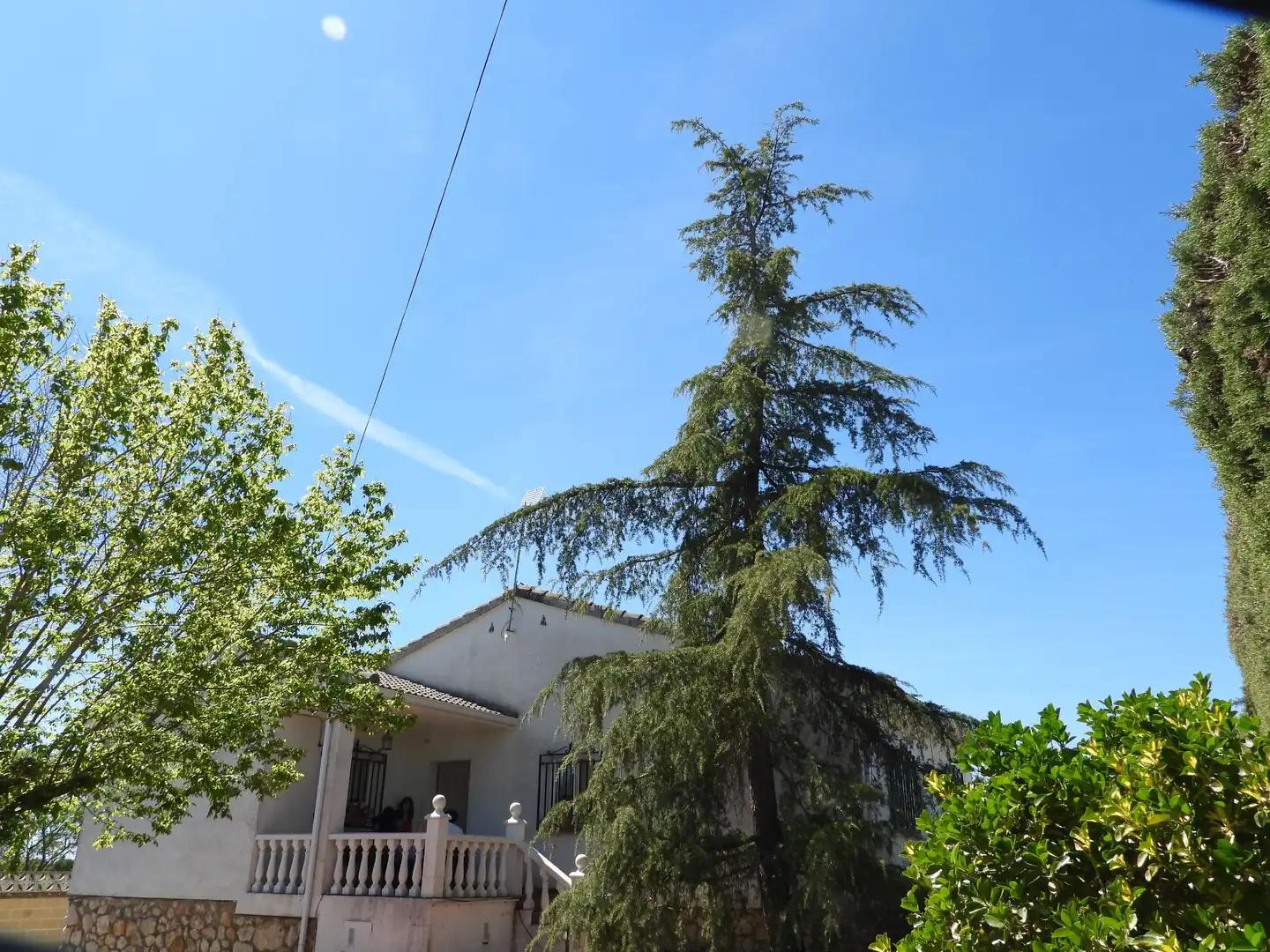 Jardí de Casa o xalet en venda en Pezuela de las Torres amb Calefacció, Jardí privat i Moblat