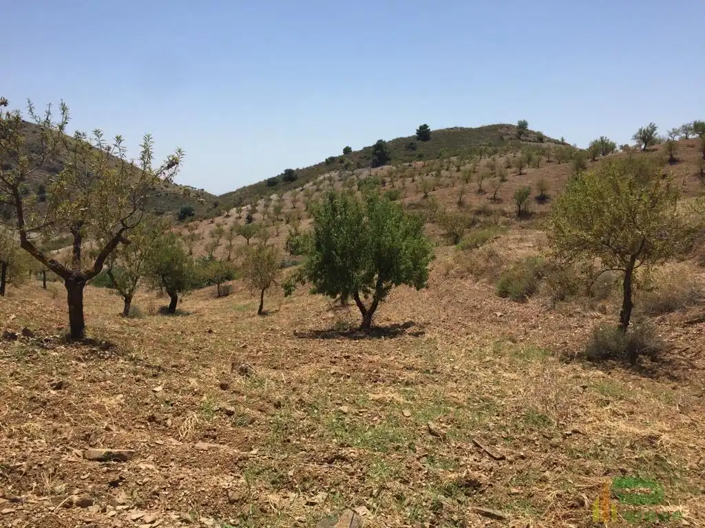 Terreni e lotti in vendita a Sierra de La Torrecilla, imagen 4