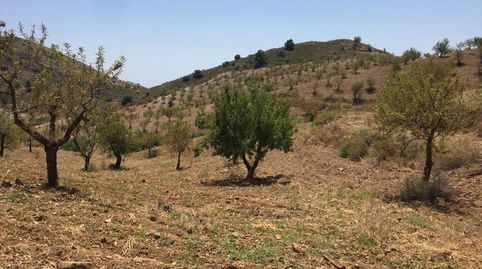 Foto 4 de Residencial en venta en Sierra de la Torrecilla, Torrecilla, Lorca