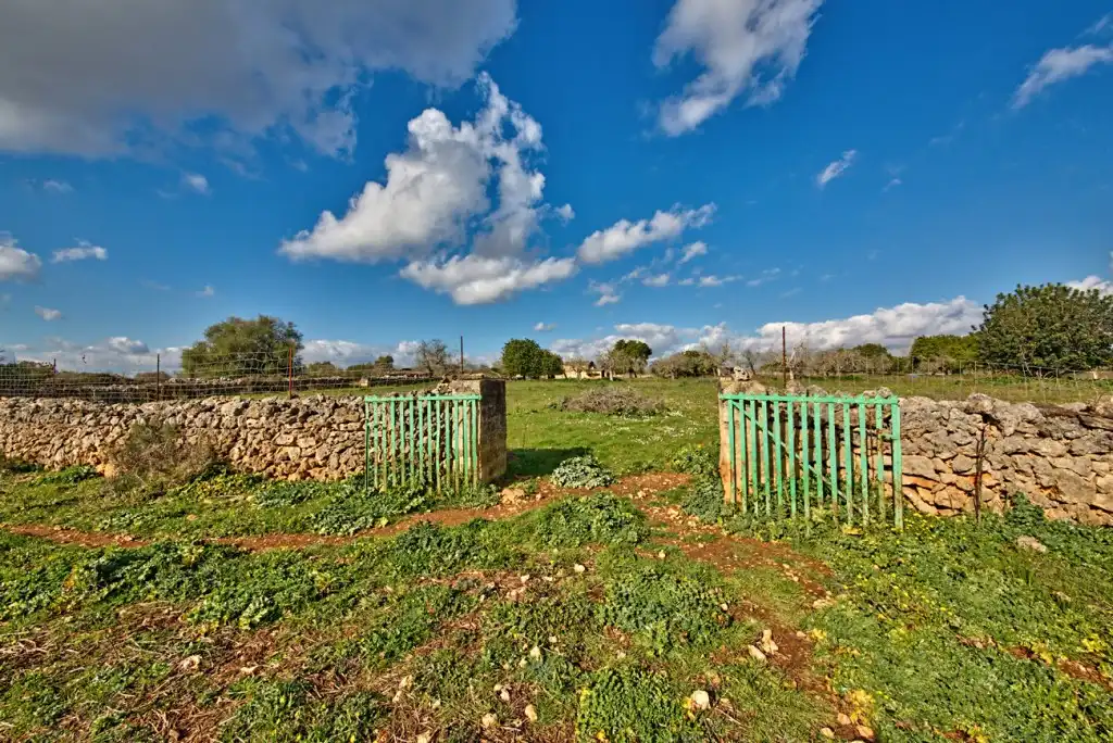 Maison rustique à vendre à Maria de la Salut, imagen 11