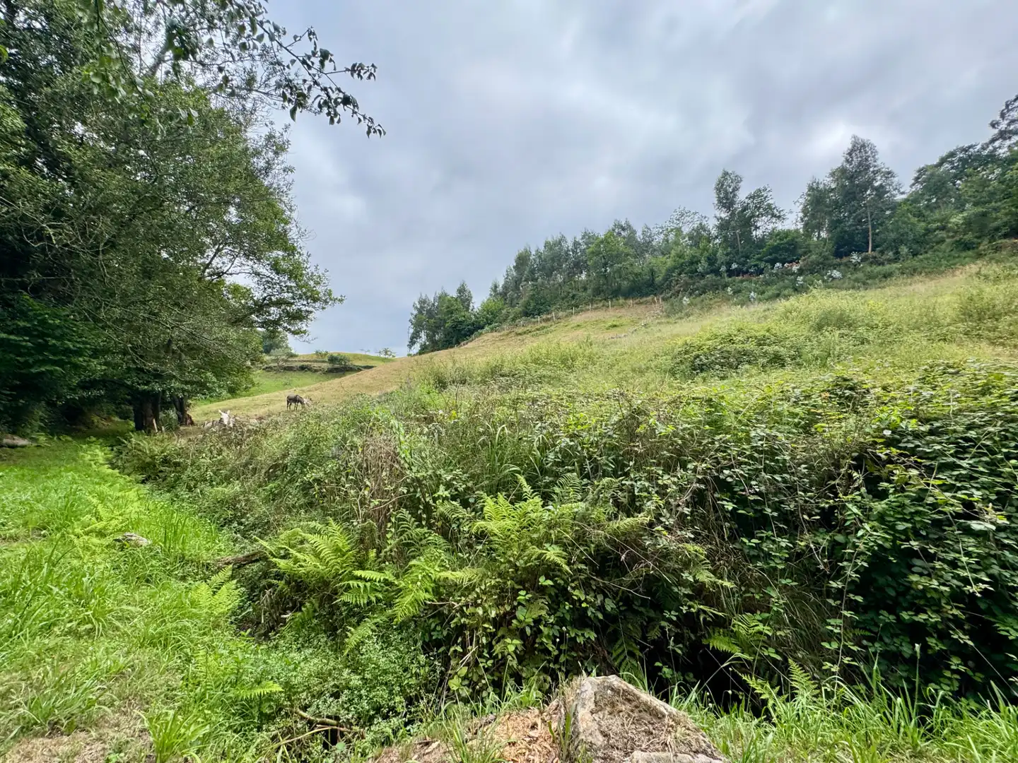 Terreno en venta en Villaviciosa