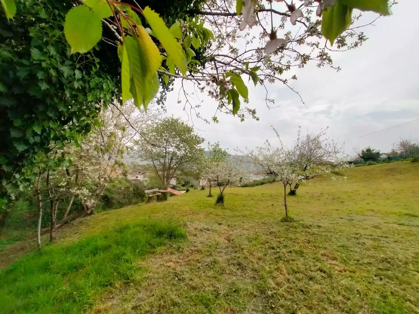 Casa rústica amb jardí en venda a Pravia, imagen 60