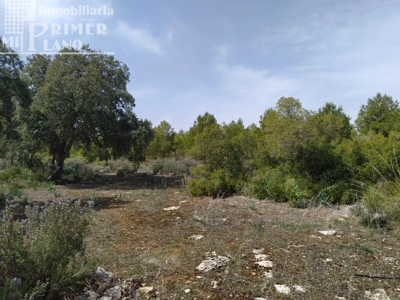 Finca rústica en venta en Socuéllamos