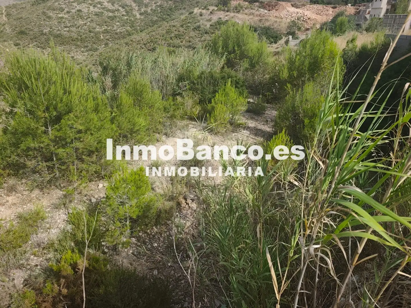 Residential land for sale in Carrer del General Palafox 44, imagen 9