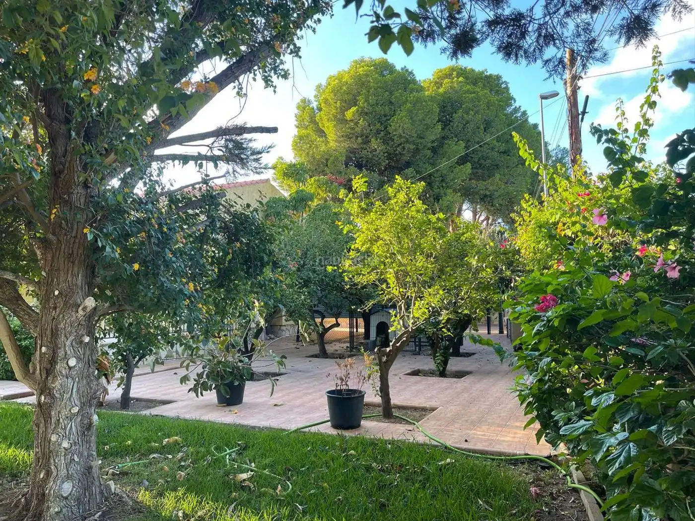 Villa zur Miete in Carrer Mestral 3, imagen 7
