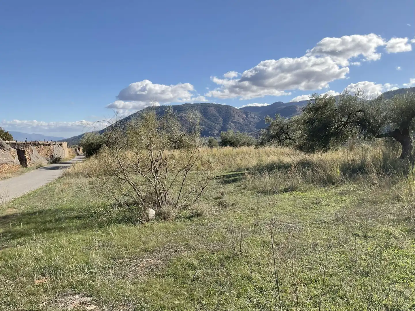 Land for sale in Padules