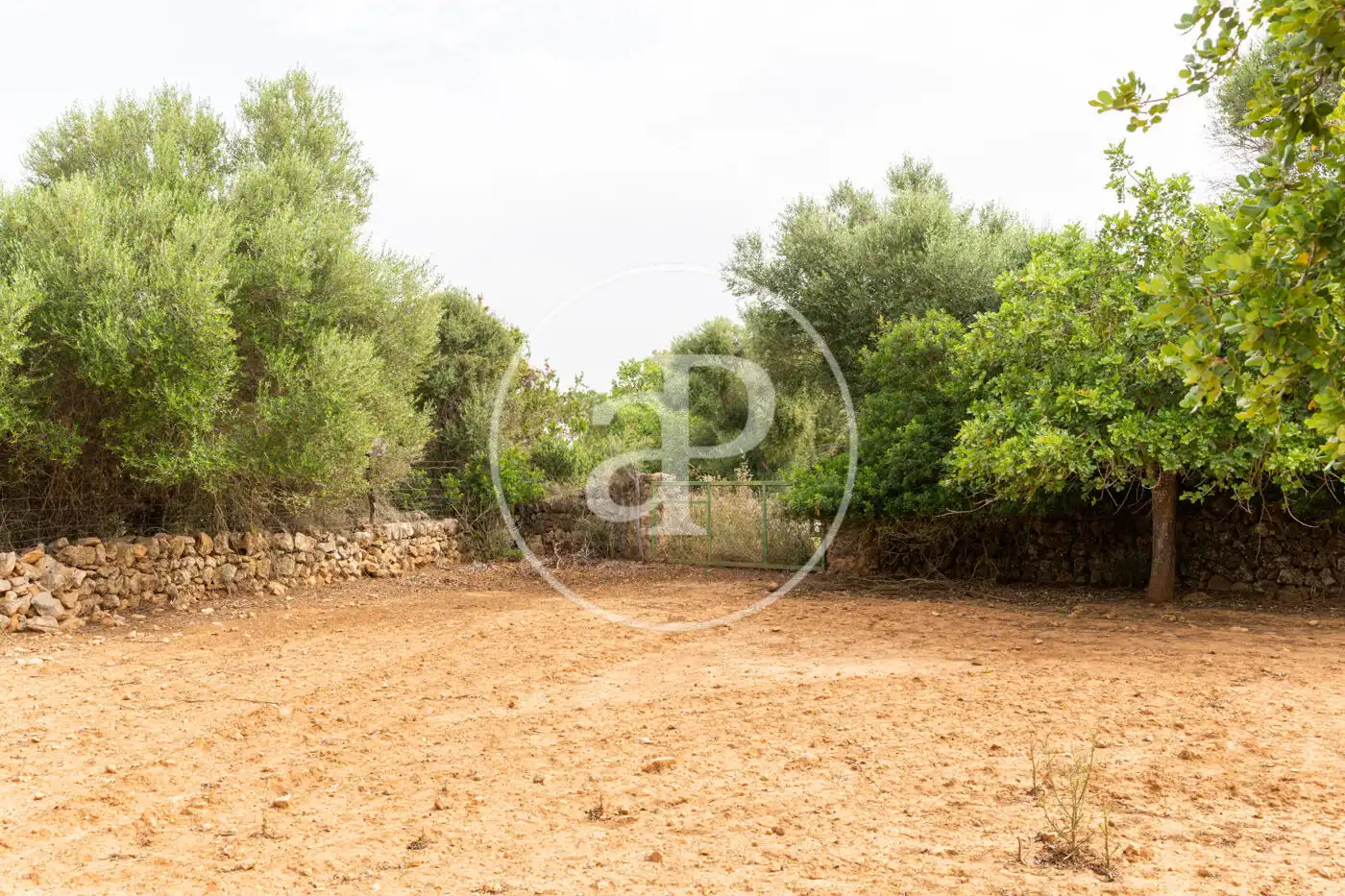 Terreno residenziale in vendita a Cami de.'s Presos, imagen 11
