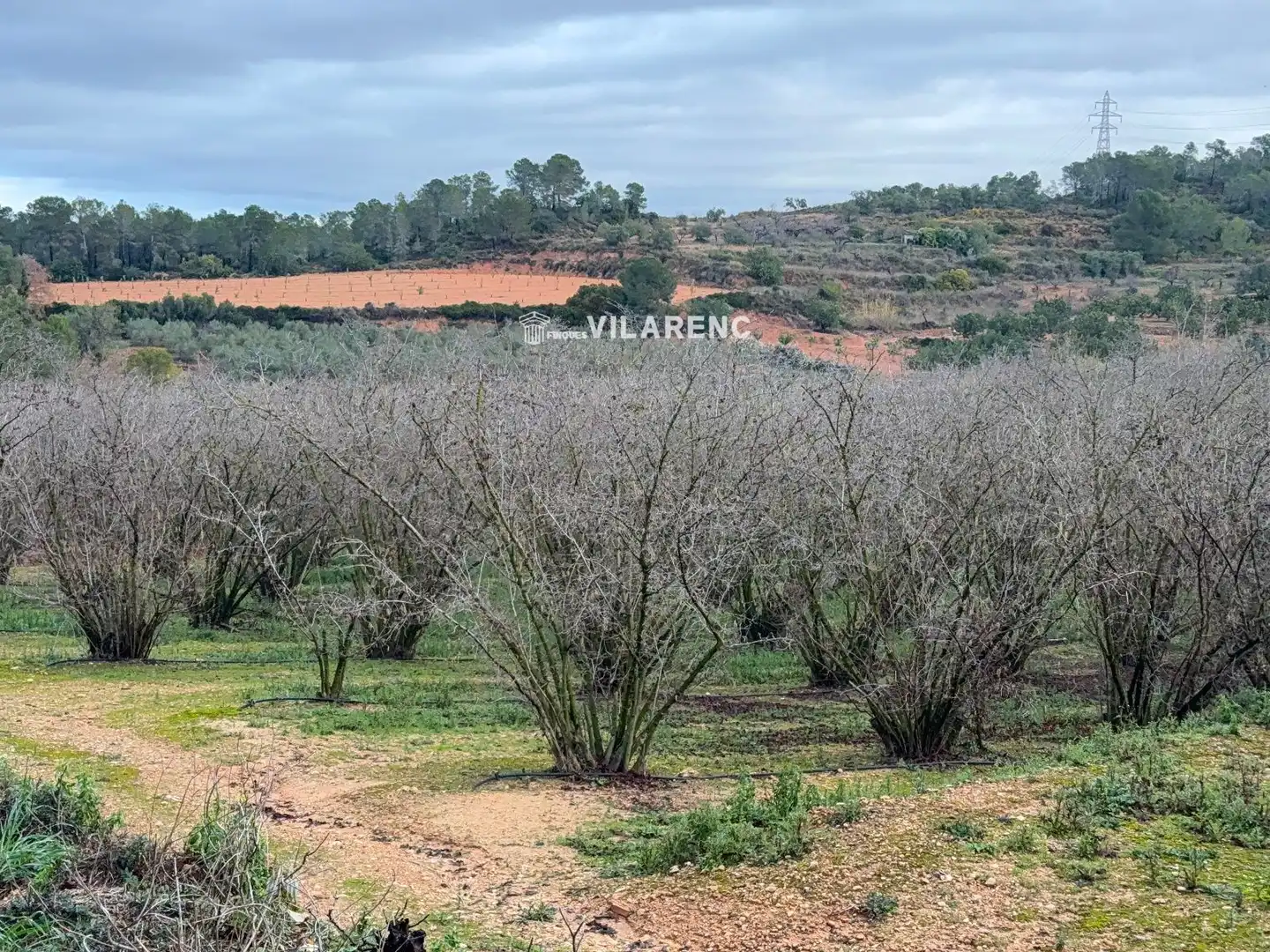 Terrain rustique à vendre à Vallmoll, imagen 6