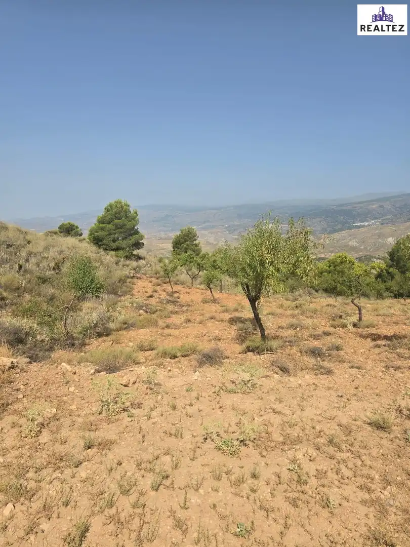 Terrain rustique à vendre à Alcolea, imagen 5