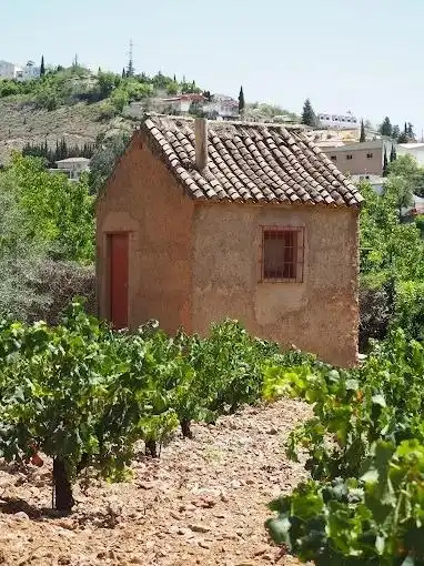 Garden of Country homes for sale in Monachil  with Air Conditioner, Heating and Terrace