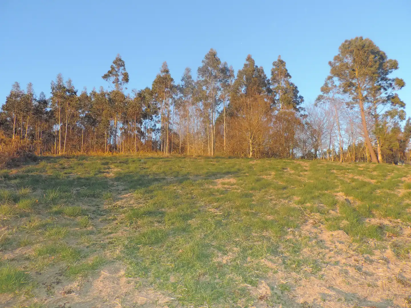 Residencial en venta en A Laracha  