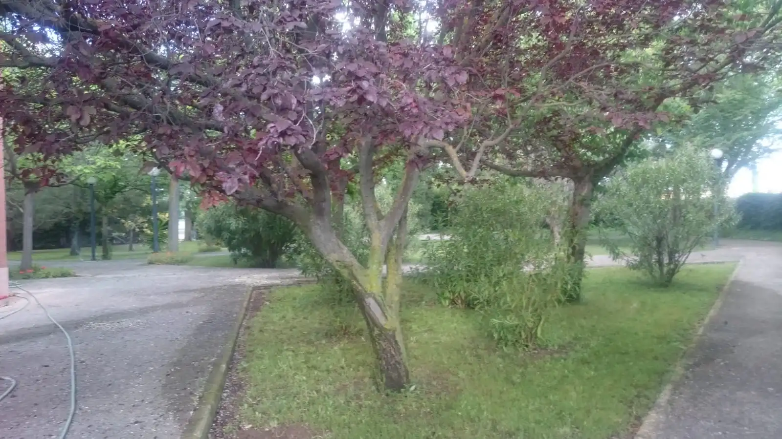 Jardí de Casa o xalet en venda en Ainzón amb Calefacció, Jardí privat i Terrassa