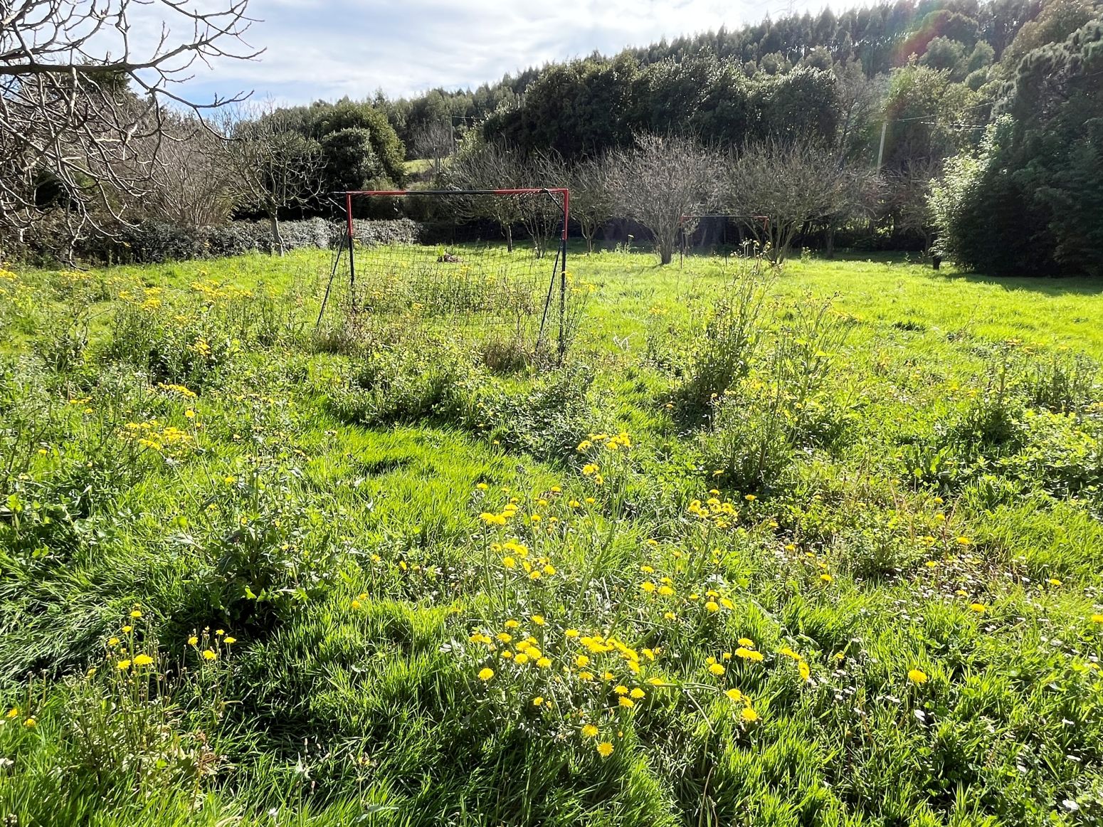 Residential for sale in Gozón
