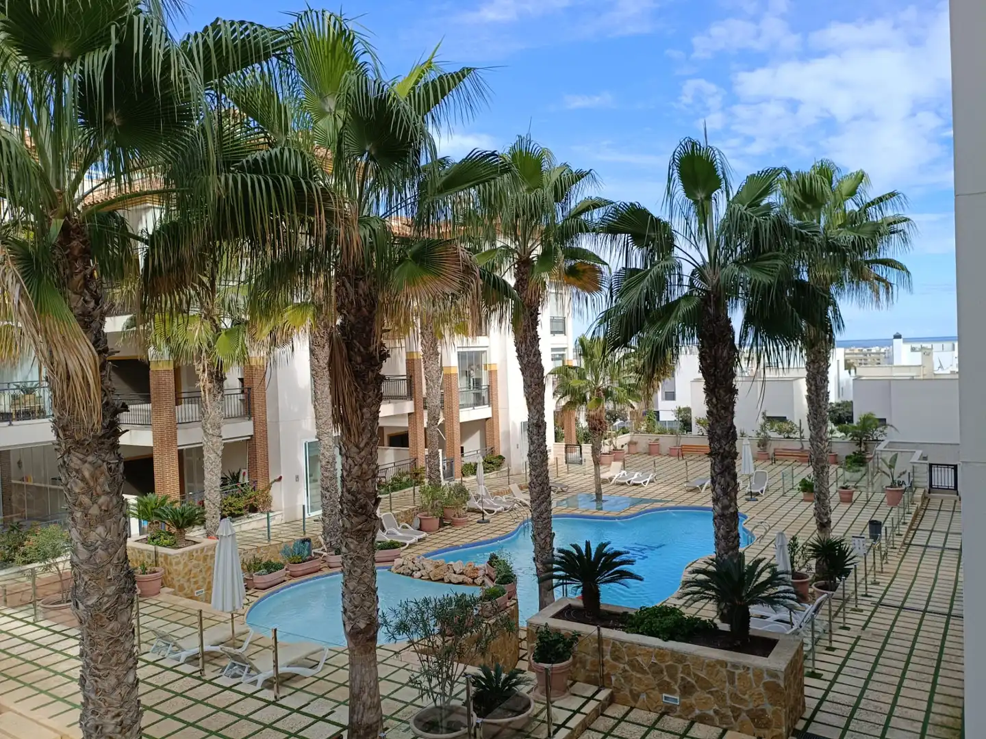 Schwimmbecken von Wohnungen zum Verkauf in Guardamar del Segura mit Klimaanlage, Heizung und Terrasse