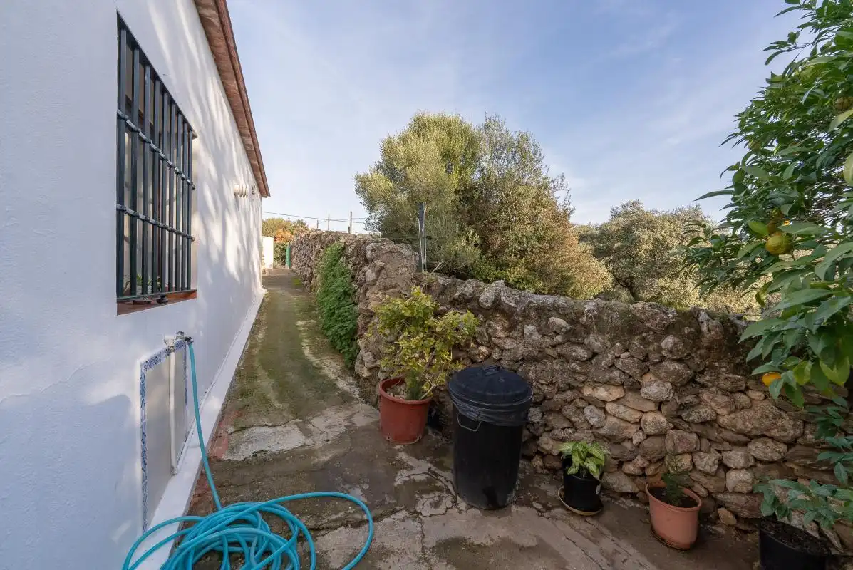 Casa o xalet en venda a C. Nueva, Peñaflor