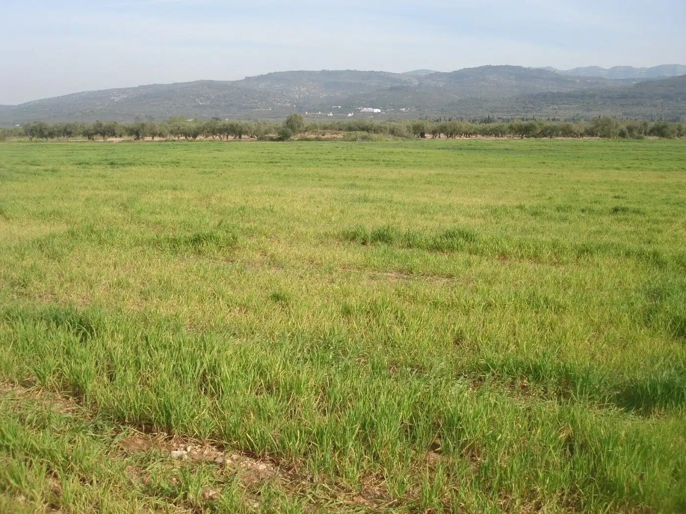 Terreno rustico in vendita a Godall, imagen 7