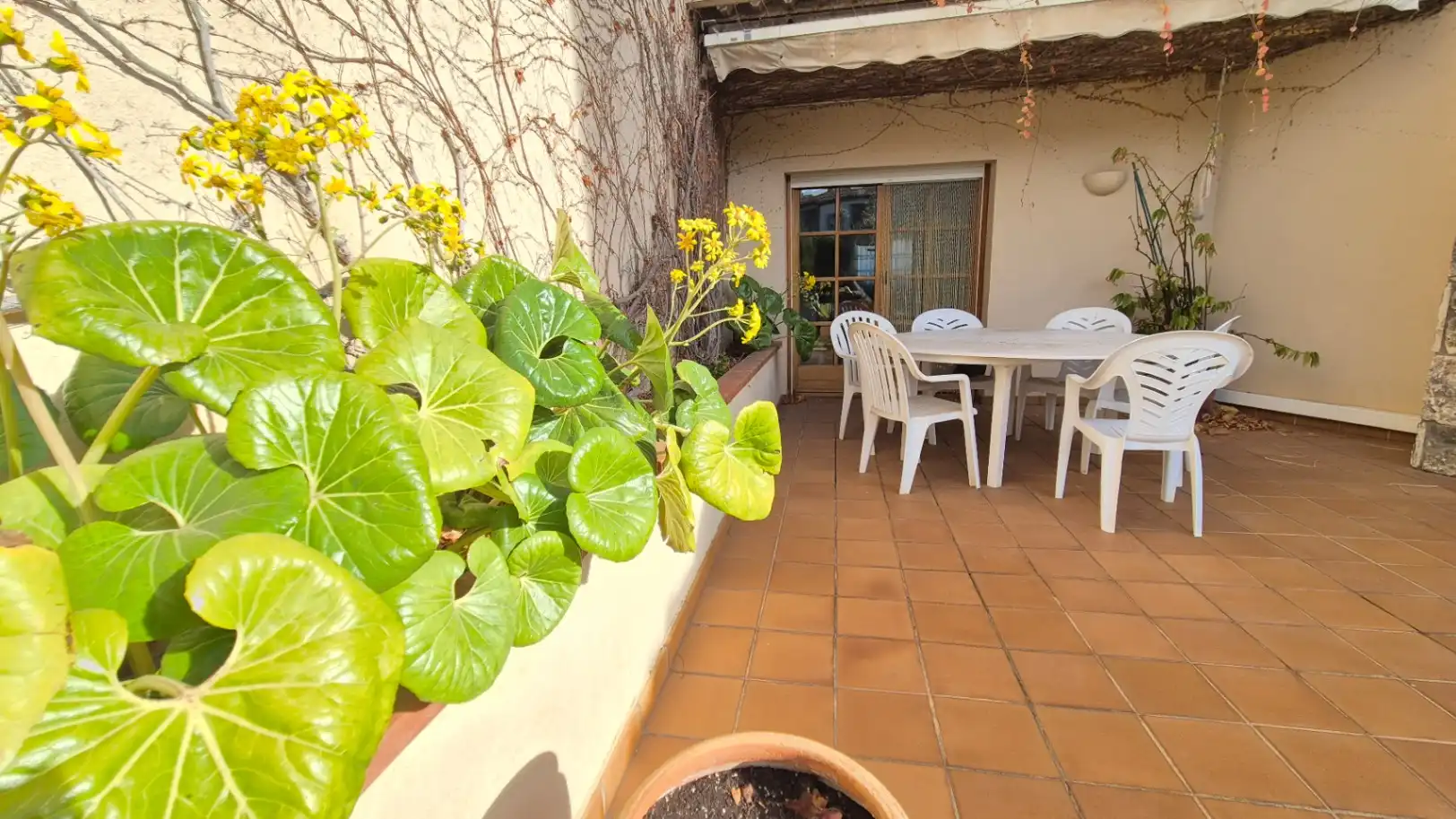 Haus zum Verkauf in Vila de Palafrugell, imagen 3