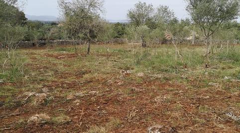 Photo 2 of Country house for sale in Costitx, Illes Balears