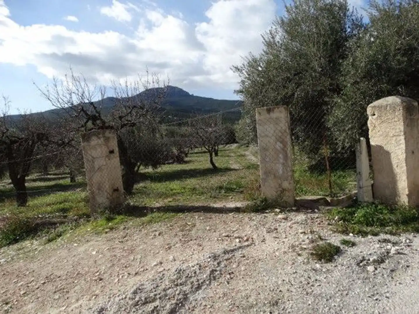 Terreni e lotti in vendita a Moratalla, imagen 4