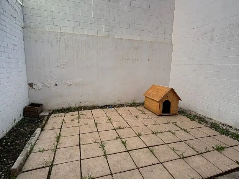 Casa a schiera con giardino in vendita a RIU FEMOSA 26, imagen 14