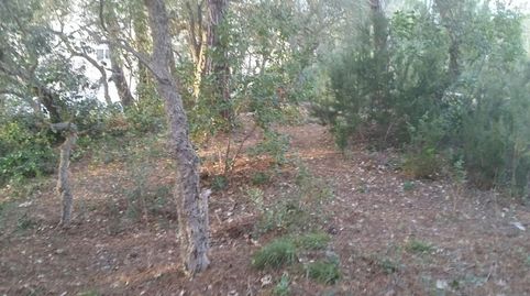 GRAN OPORTUNIDAD! TERRENO EN SERRA BRAVA CON VISTAS A LA MONTAÑA, imatge 5