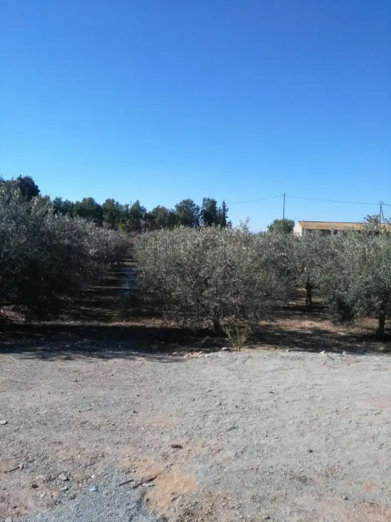 Country homes for sale in Lorca  with Air Conditioner, Heating and Private garden