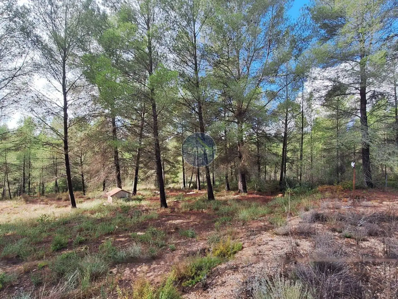 Villa con giardino in vendita a L'Olleria, imagen 15