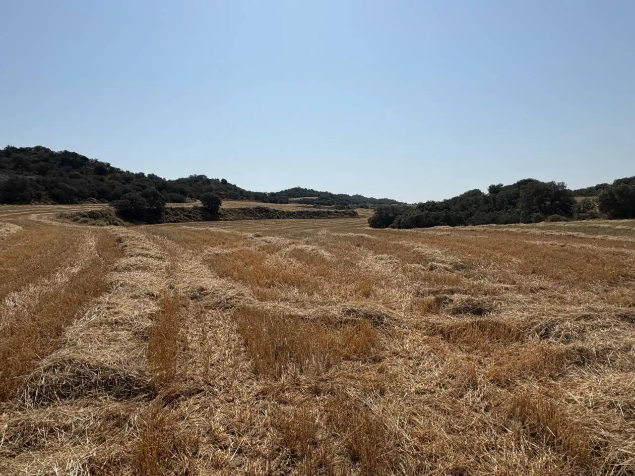 Terreno en venta en San Esteban de Litera